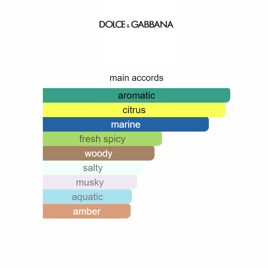 DOLCE&GABBANA - Light Blue Intense